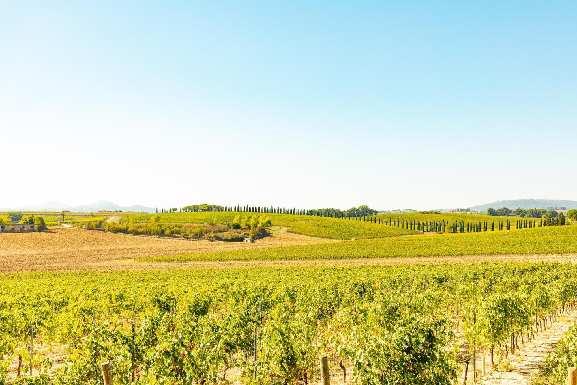 Appartamento Greppino Montepulciano Stazione المظهر الخارجي الصورة