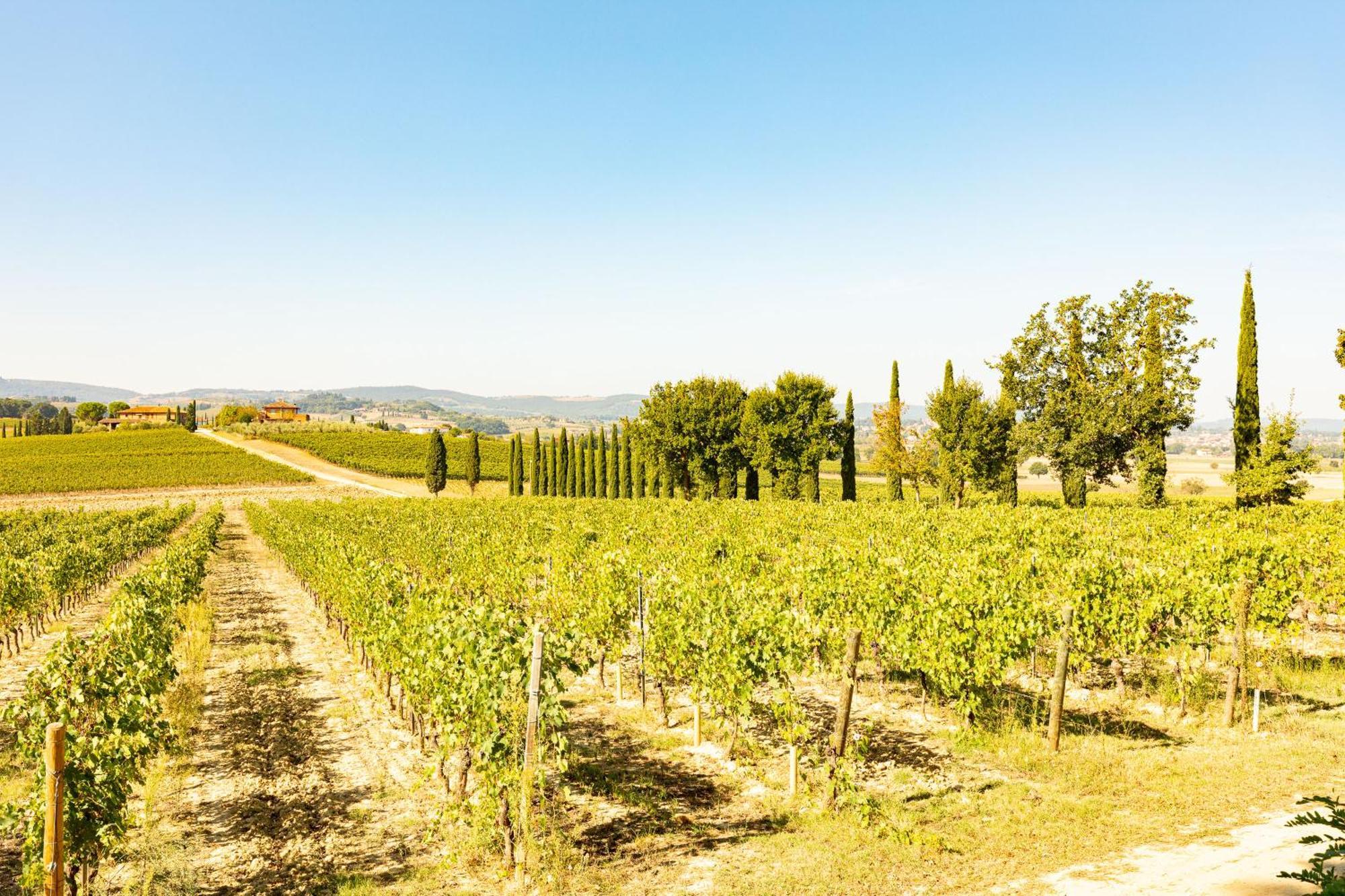 Appartamento Greppino Montepulciano Stazione المظهر الخارجي الصورة