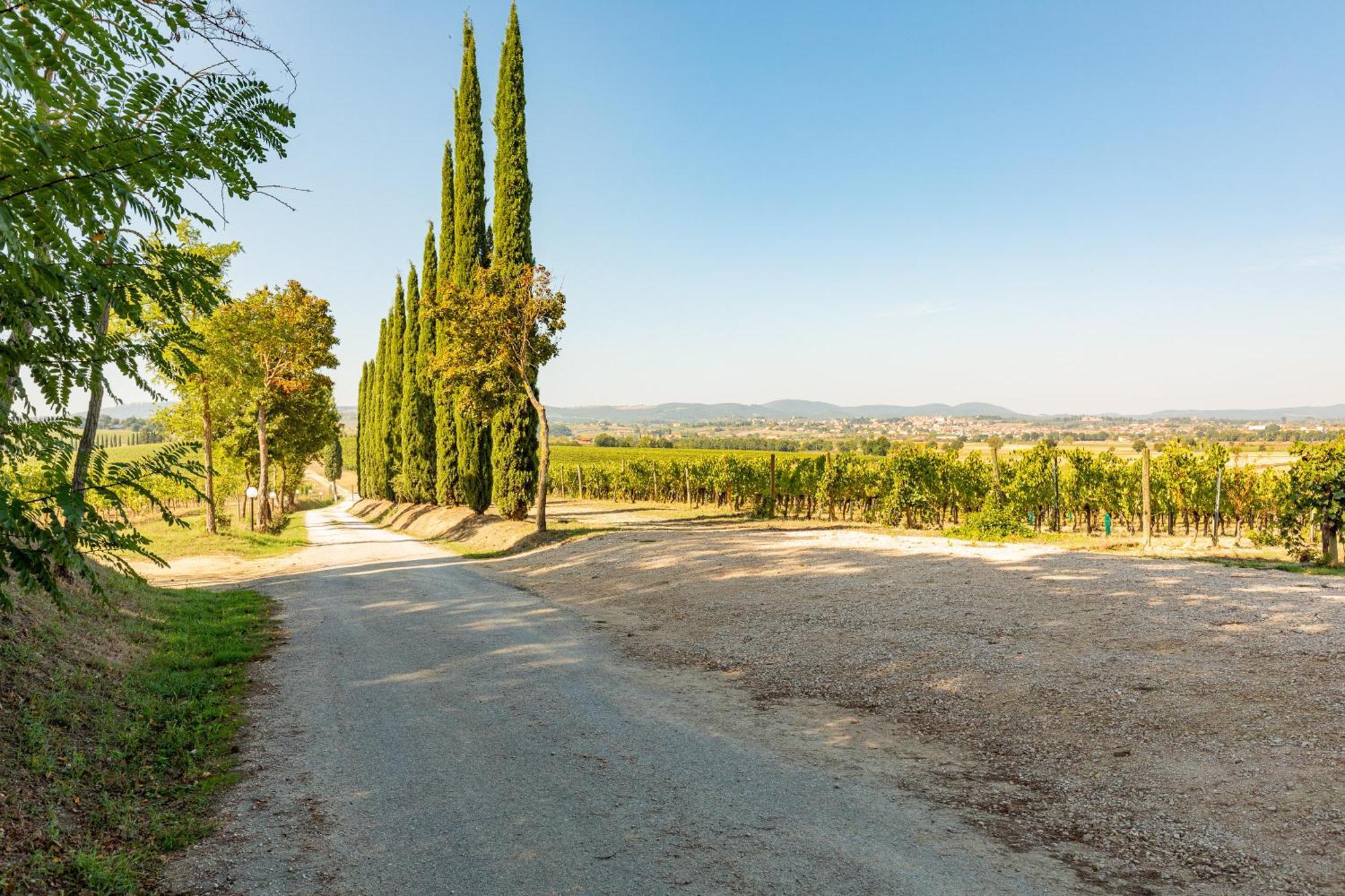 Appartamento Greppino Montepulciano Stazione المظهر الخارجي الصورة