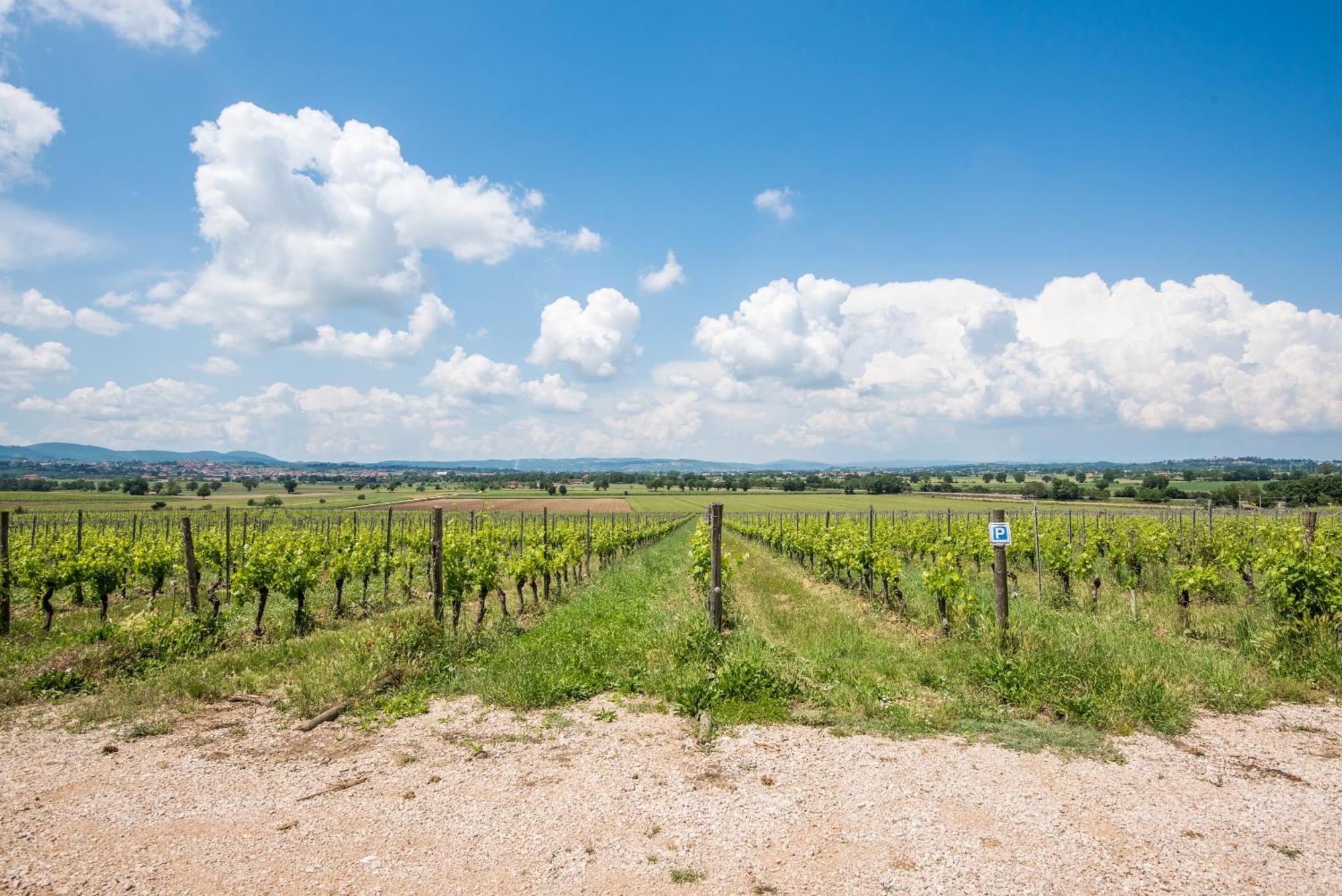 Appartamento Greppino Montepulciano Stazione المظهر الخارجي الصورة